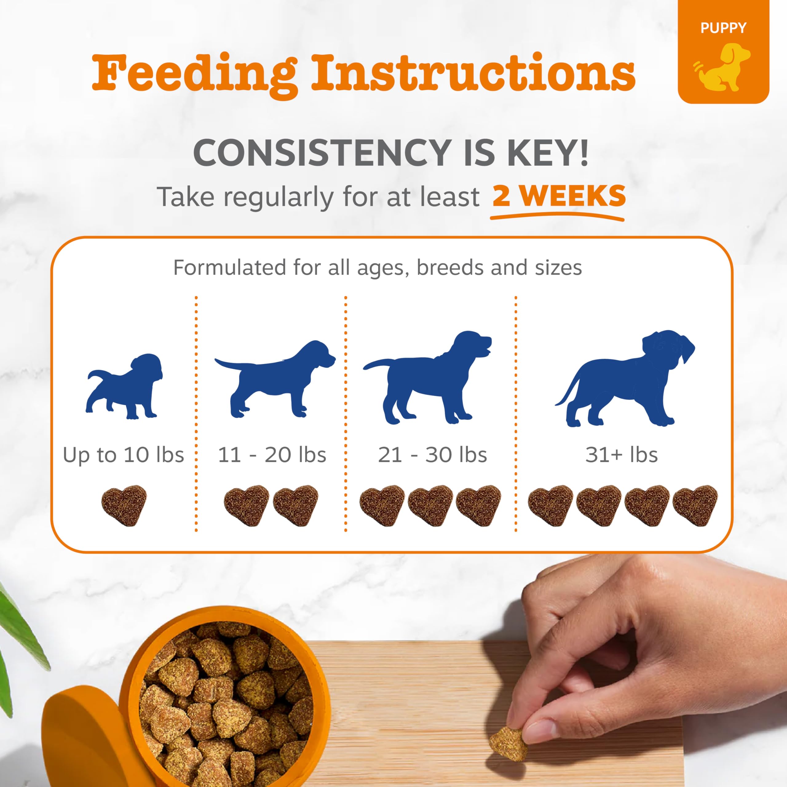 Zesty Paws salud digestiva para perro, equilibrio intestinal.