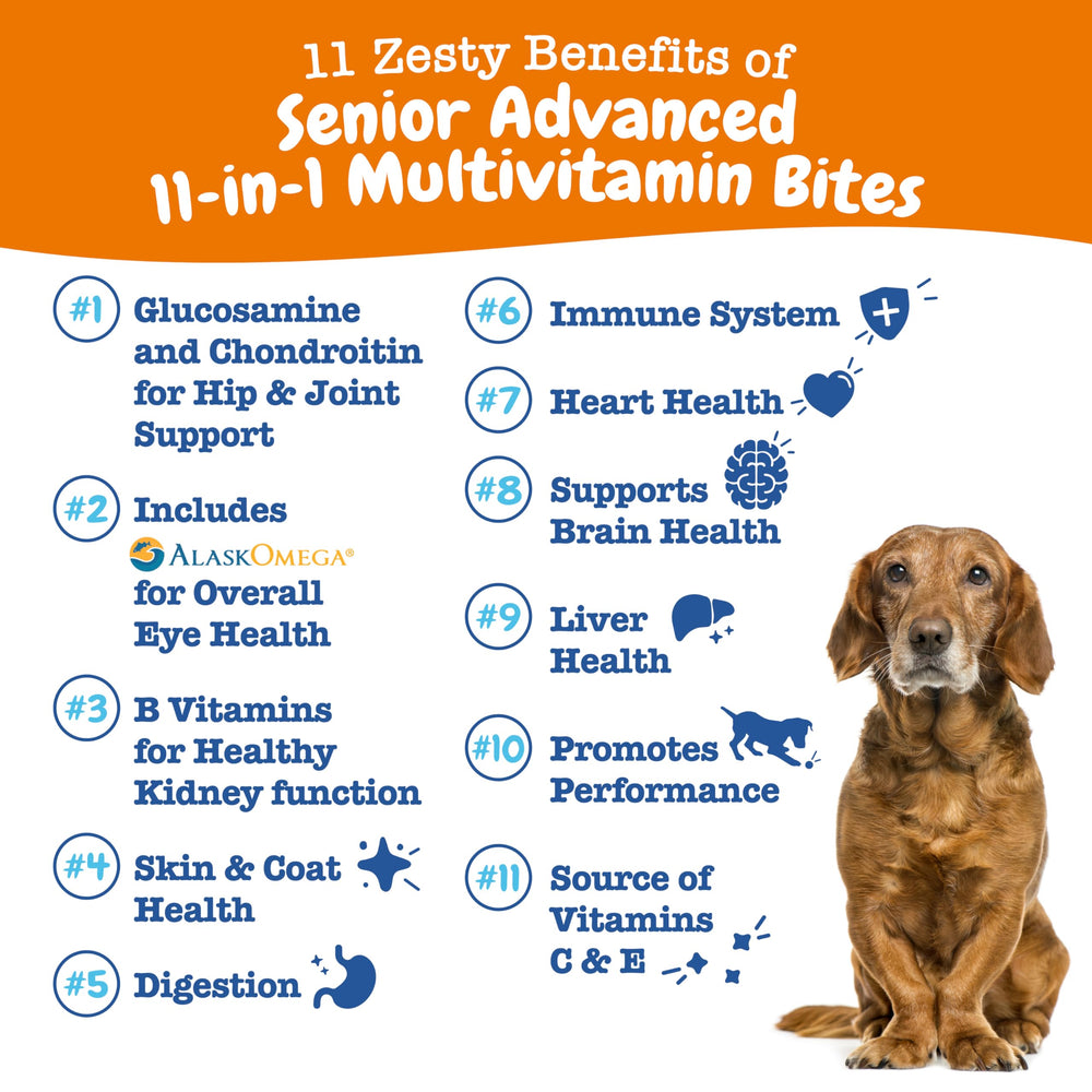 Zesty Paws 8-en-1 para perros seniors: favorece movilidad y confort diario.