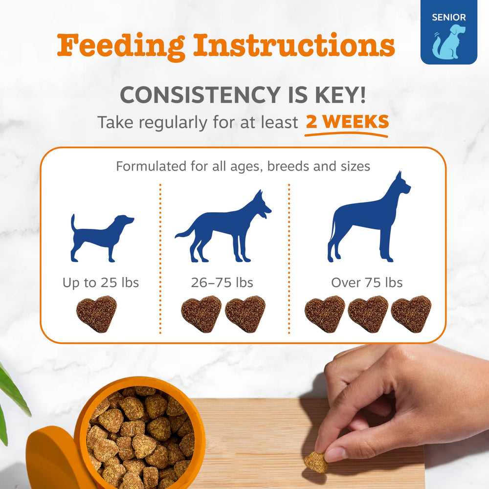 Etiqueta de Zesty Paws Senior sin granos, apta para perros sensibles.