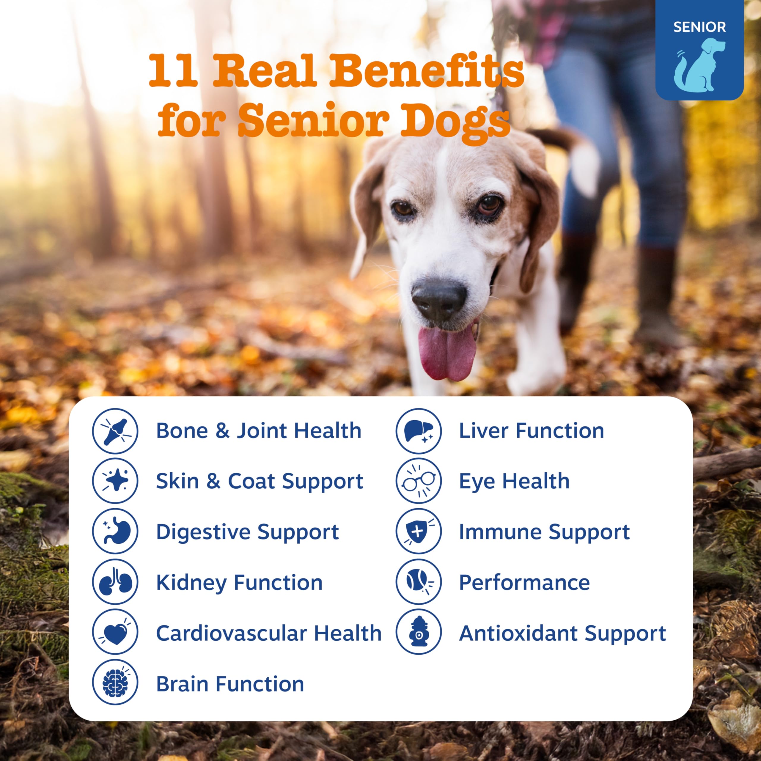 Textura suave de las masticables Zesty Paws Senior para facilitar el consumo.