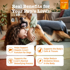 Zesty Paws Suplemento Higado Perro Empaque: frontal de la caja para identificación rápida.