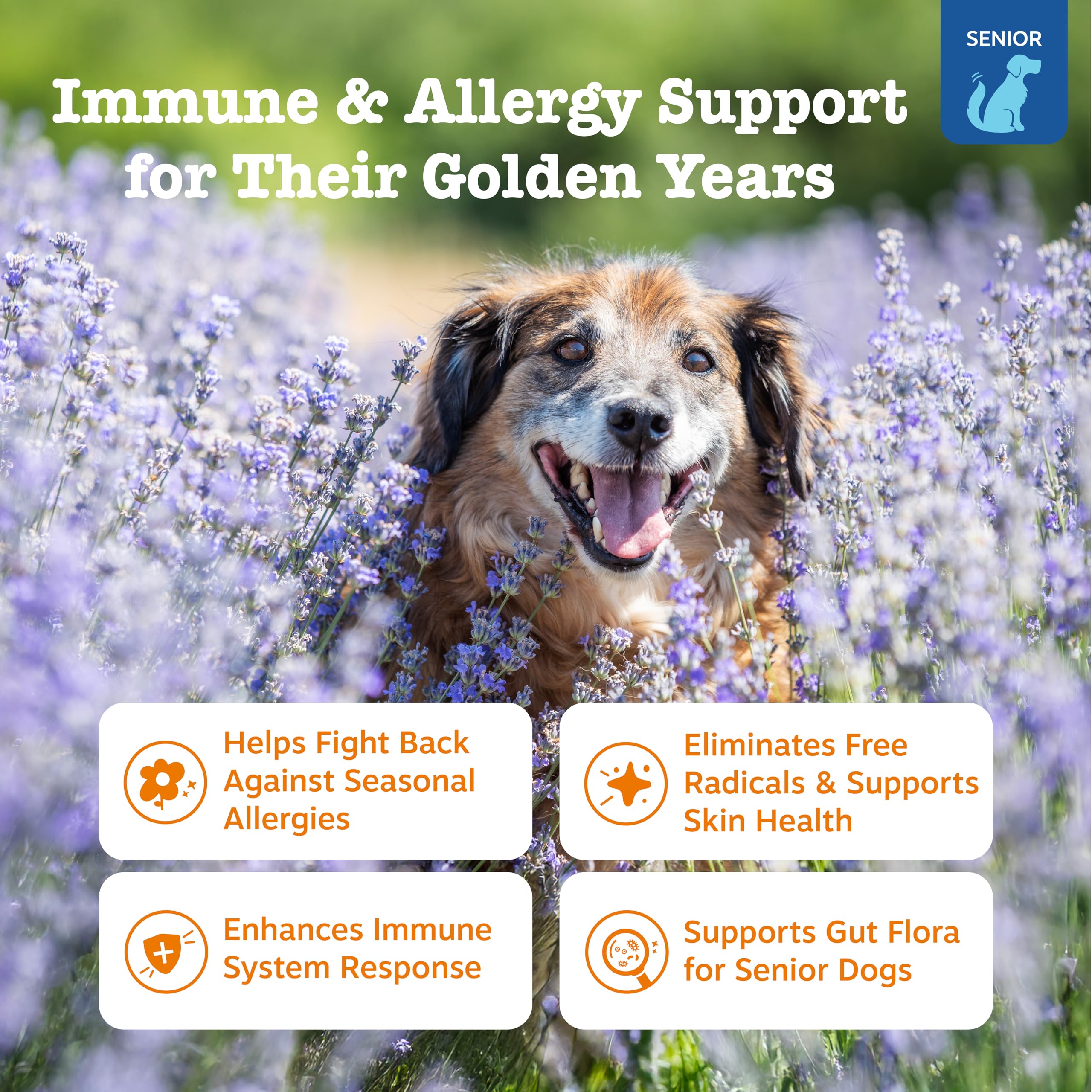 Zesty Paws Dog Allergy Relief textura suave para uso diario en perros.