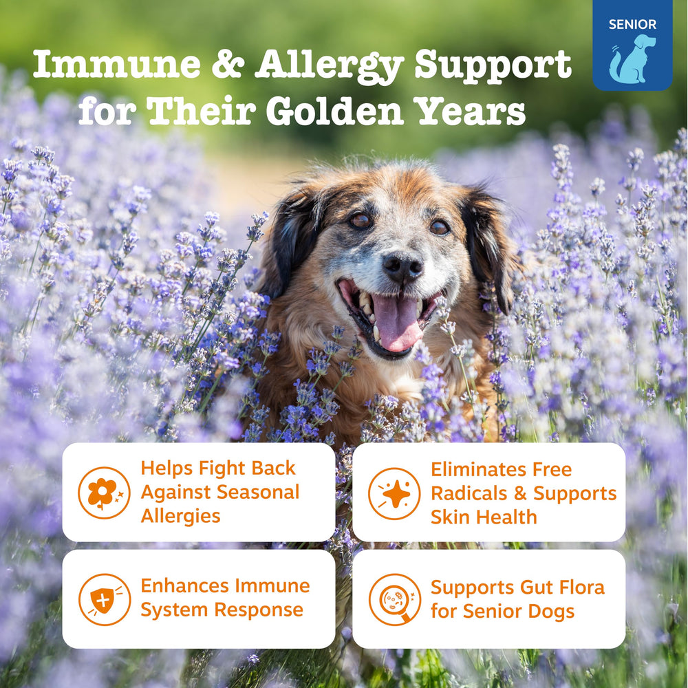 Zesty Paws Dog Allergy Relief textura suave para uso diario en perros.