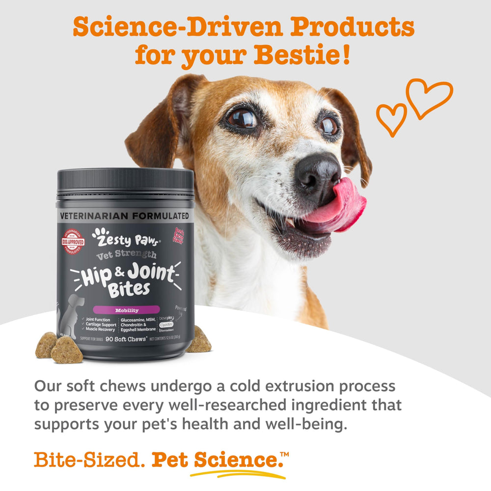 Perro contento al recibir Zesty Paws Vet Strength Movilidad