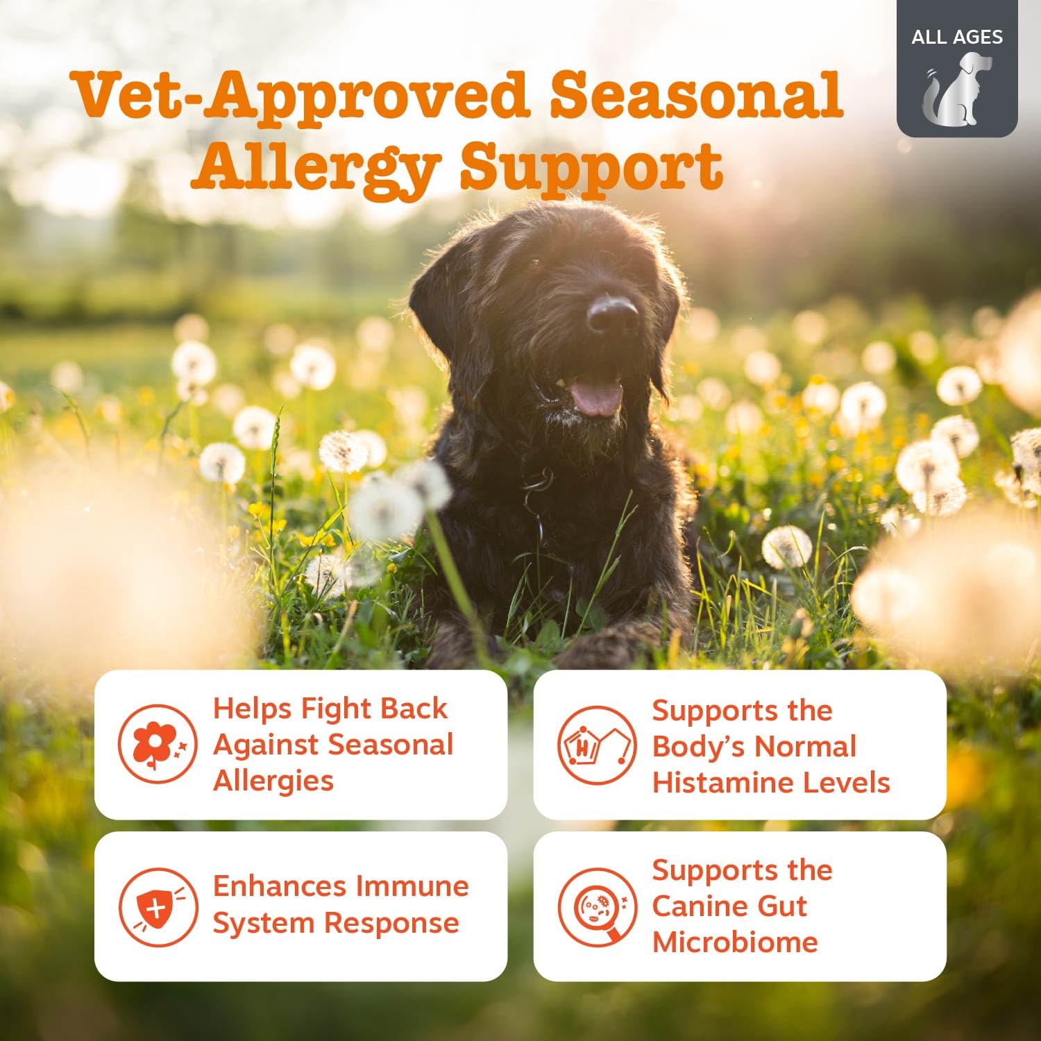 Zesty Paws Vet Strength: premios probióticos para perros con queso ahumado y digestión