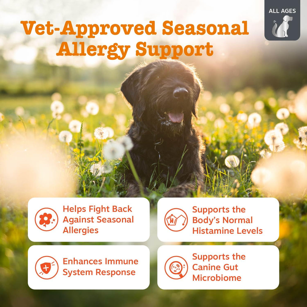 Zesty Paws Vet Strength: premios probióticos para perros con queso ahumado y digestión