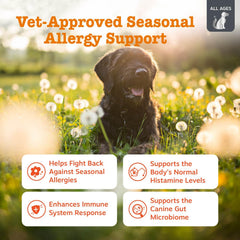 Zesty Paws Vet Strength: premios probióticos para perros con queso ahumado y digestión