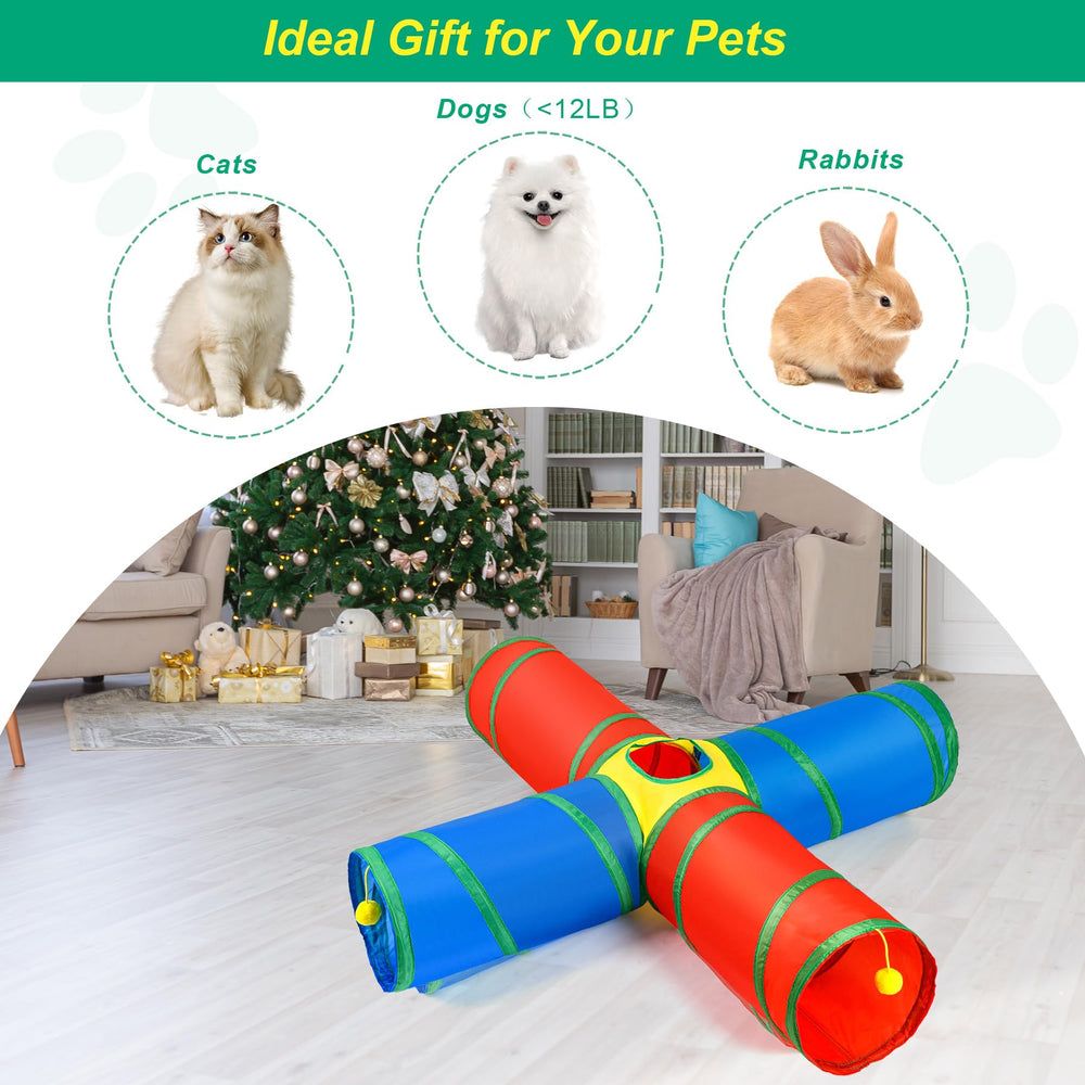 Kit de juego ZeyZoo para regalo de gatos y gatitos