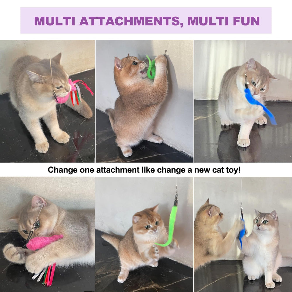 ZeyZoo mango-espuma-juguete-gato: manejo cómodo para sesiones largas