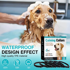 ZHANGK Collar resistente al agua para uso diario y situaciones estresantes.