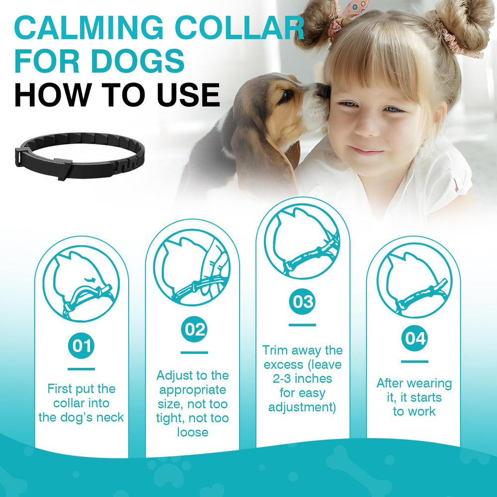 ZHANGK Collar para uso diario, ajuste cómodo para perros.