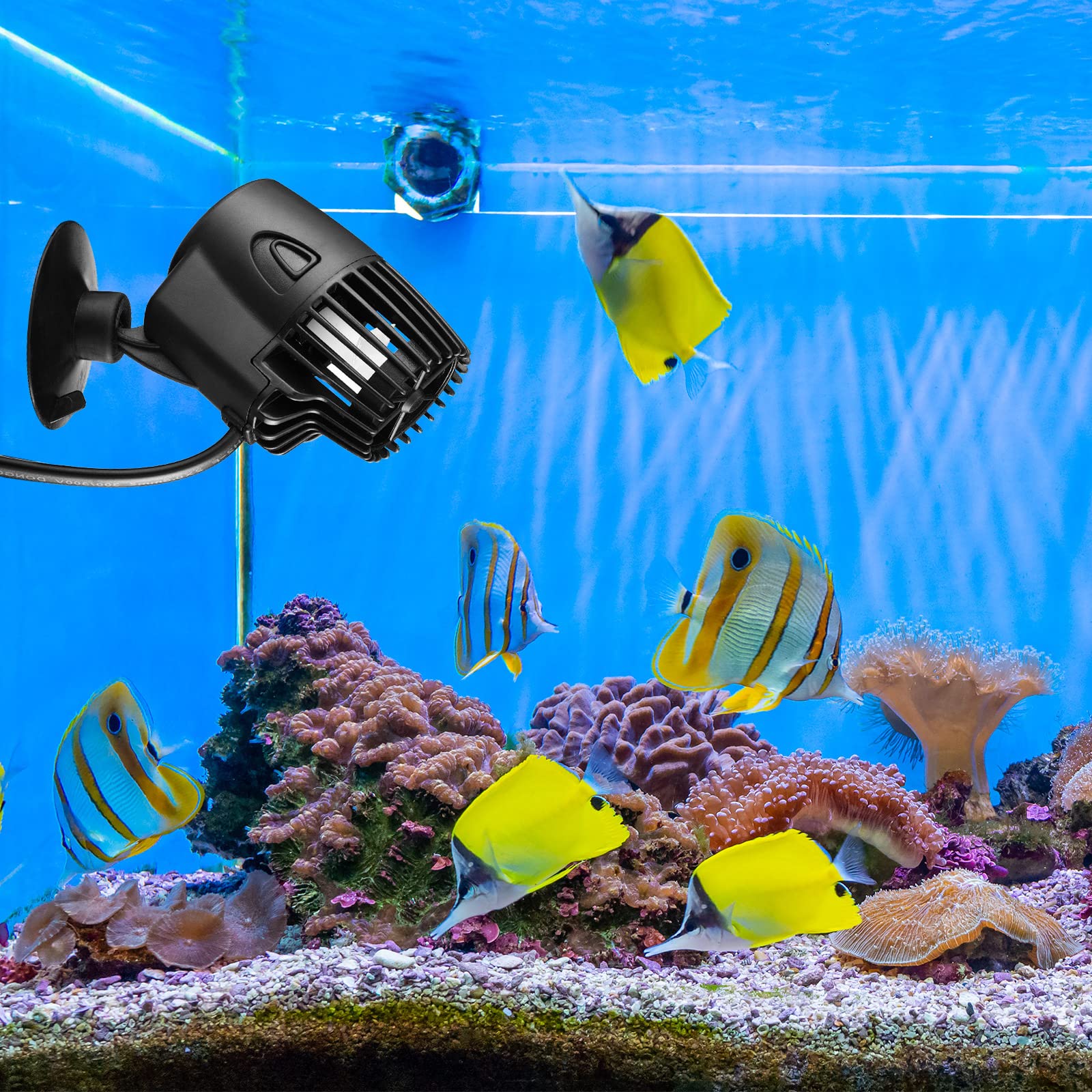 Zhengmy unidad sumergible para uso silencioso dentro del acuario.