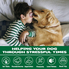 Sabor pollo de ZiehooGe Calming Chews que agrada a perros