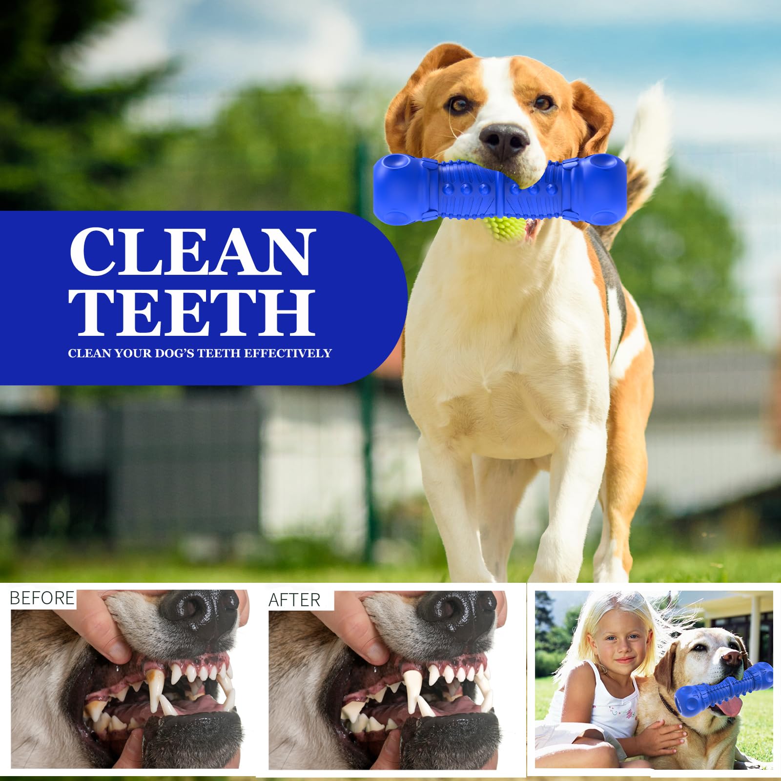 Juguete ZIKATON para perros medianos y grandes, diseñado para masticación prolongada.