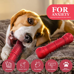 Mordedor ZIKATON duradero para perros grandes, resistente a mordidas.