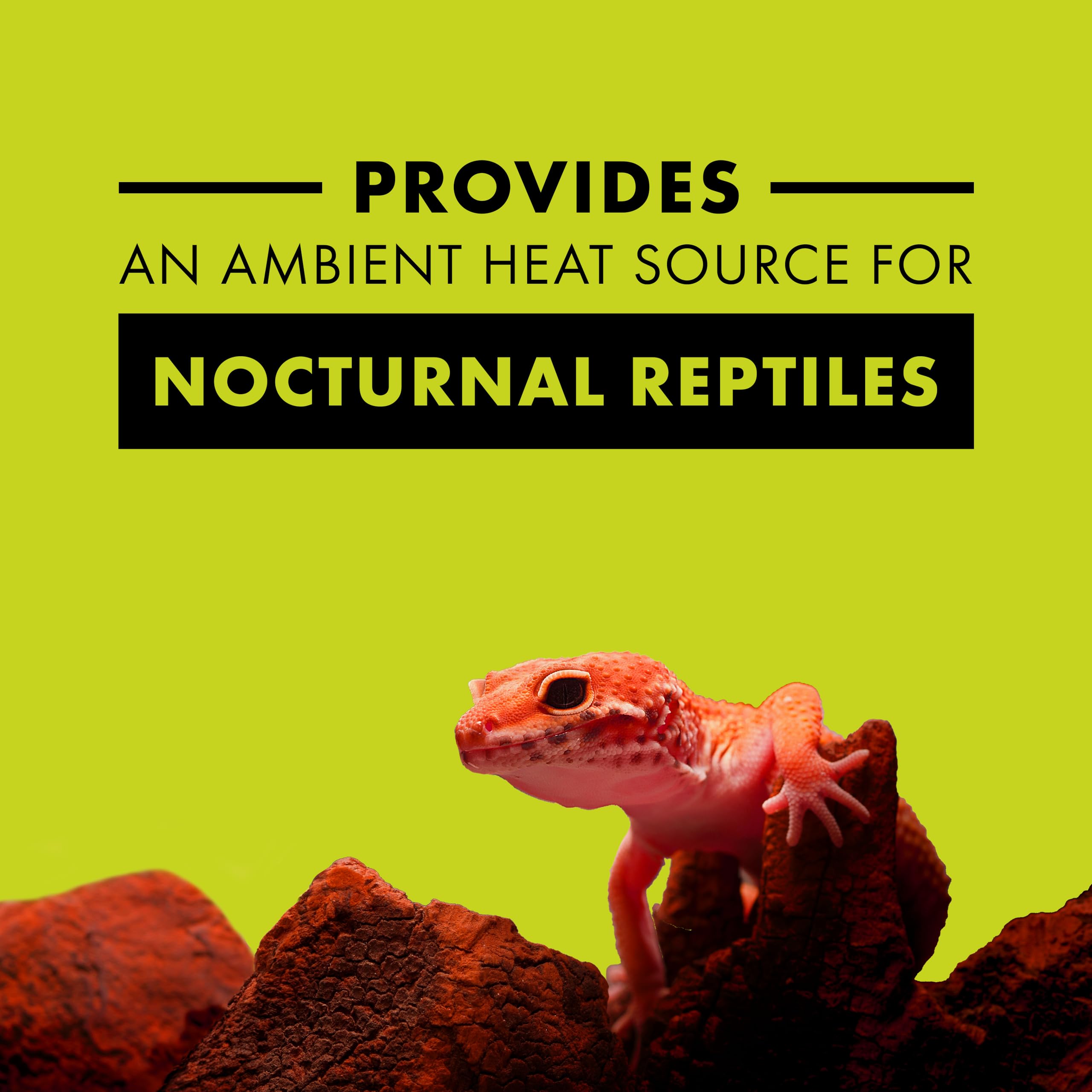 Zilla Noche Roja para terrario: calor ambiental suave para reptiles nocturnos