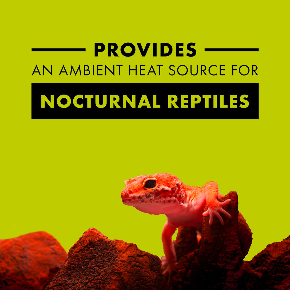 Zilla Noche Roja para terrario: calor ambiental suave para reptiles nocturnos