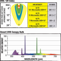 Zilla Canopy Desert 20W: luz para serpientes y reptiles de baja intensidad
