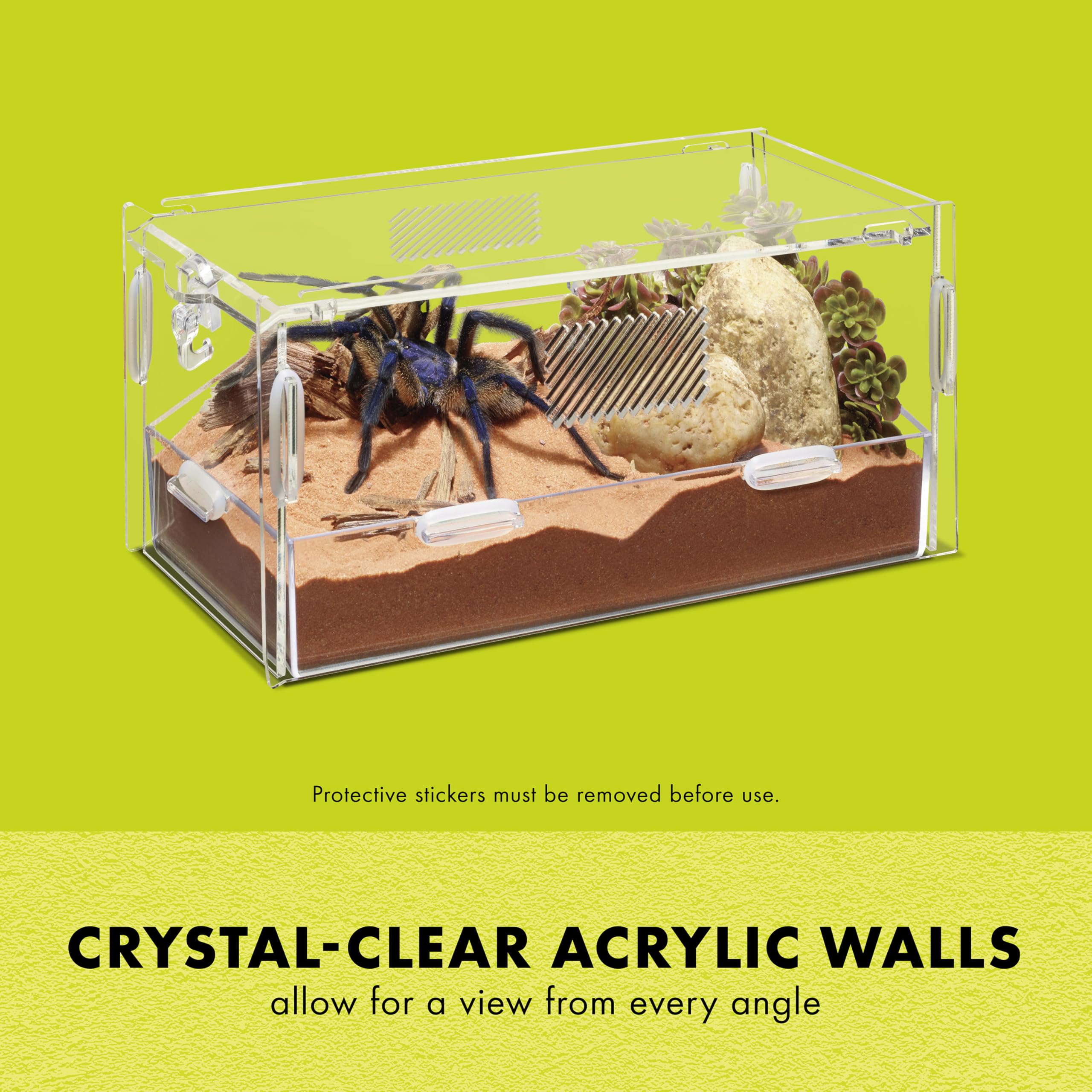 Paredes acrílicas transparentes del Zilla Micro Habitat permiten observar sin molestia