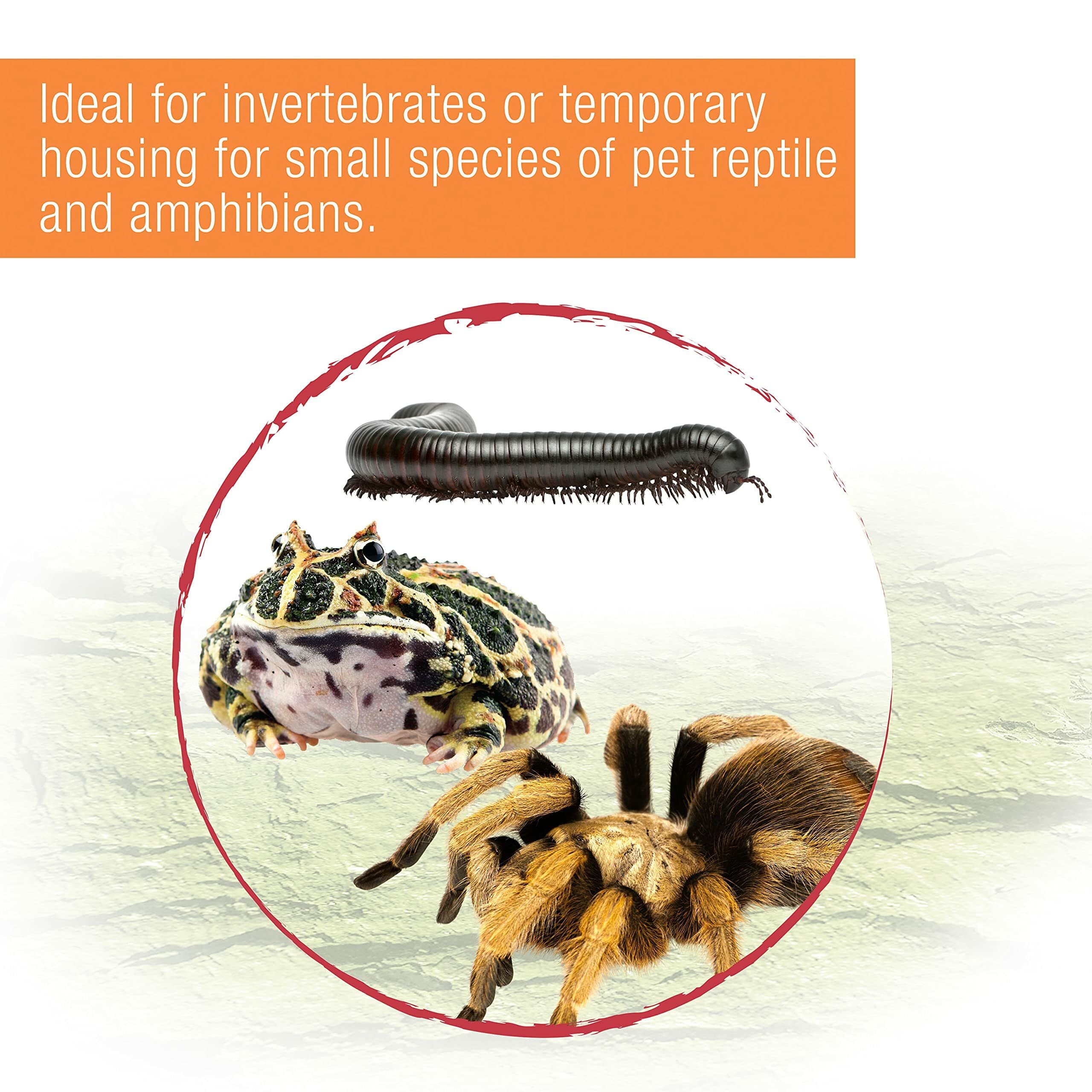 Zilla Micro Habitat Terrario, versión arbórea para especies que viven en altura.