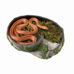Zilla Terrario Rincón Rocoso-textura-musgosa ofrece superficie rugosa para la muda.