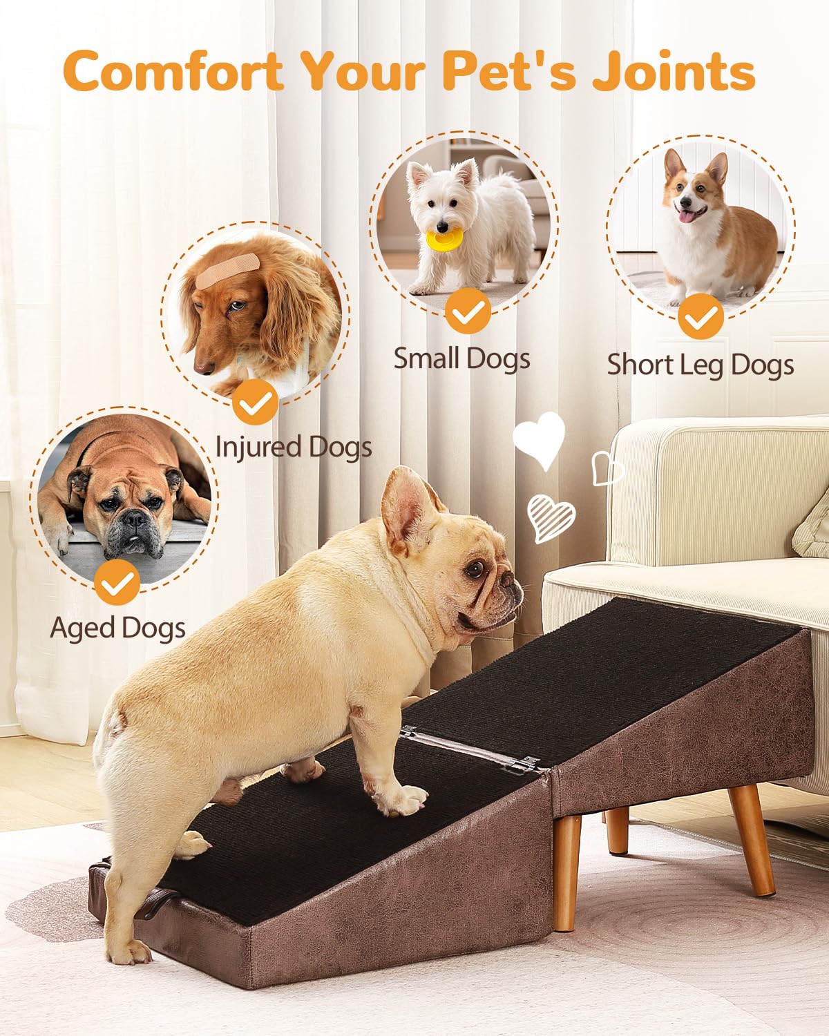 Ziluce rampa para perros y cama, ideal para saltos suaves.