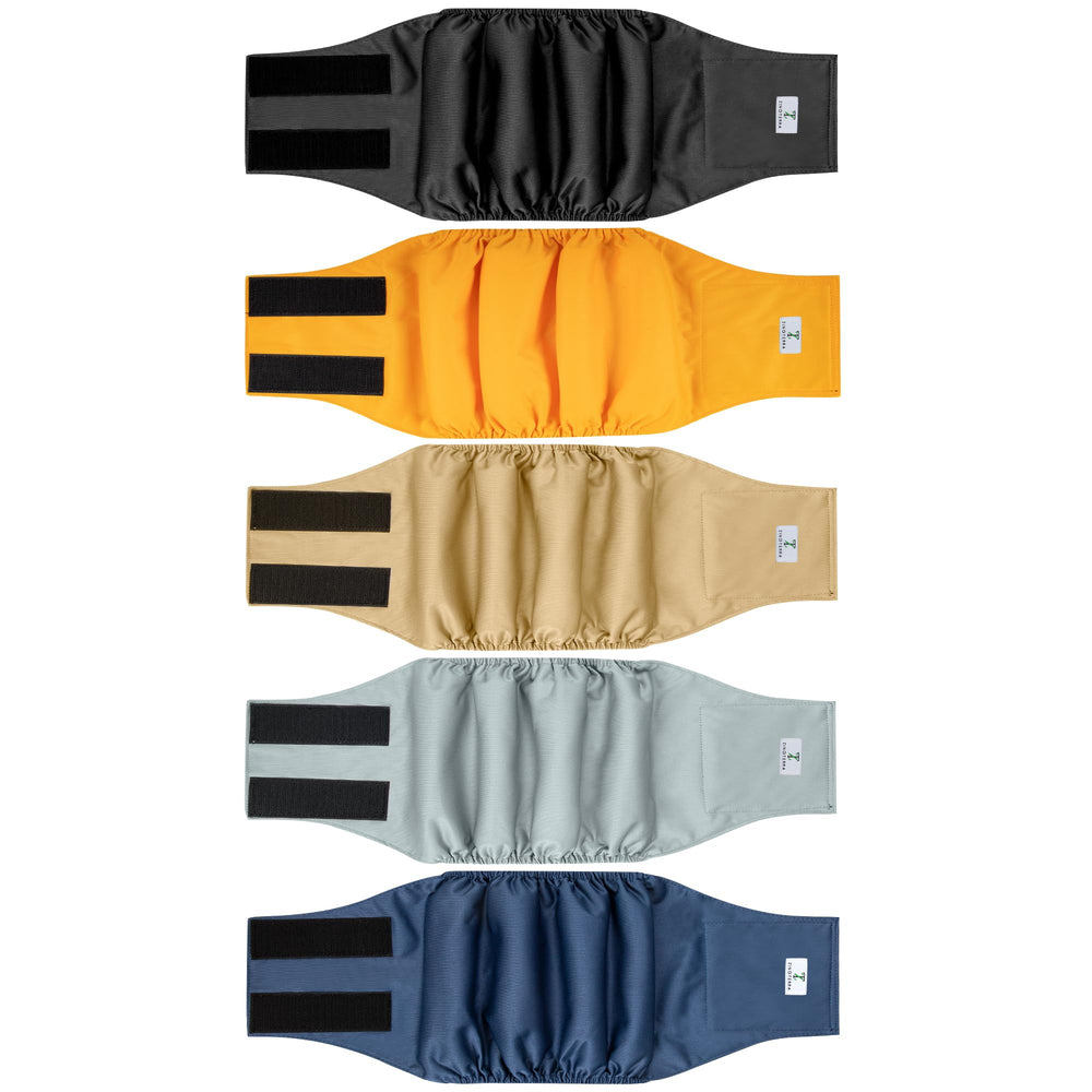 Pañales ZINGTERRA para perro macho 5pack, empaque compacto para entrenar en casa.