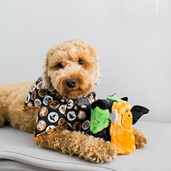 ZippyPaws Amigo Chirriante calabaza detalle cara: colores vivos para mordidas seguras.