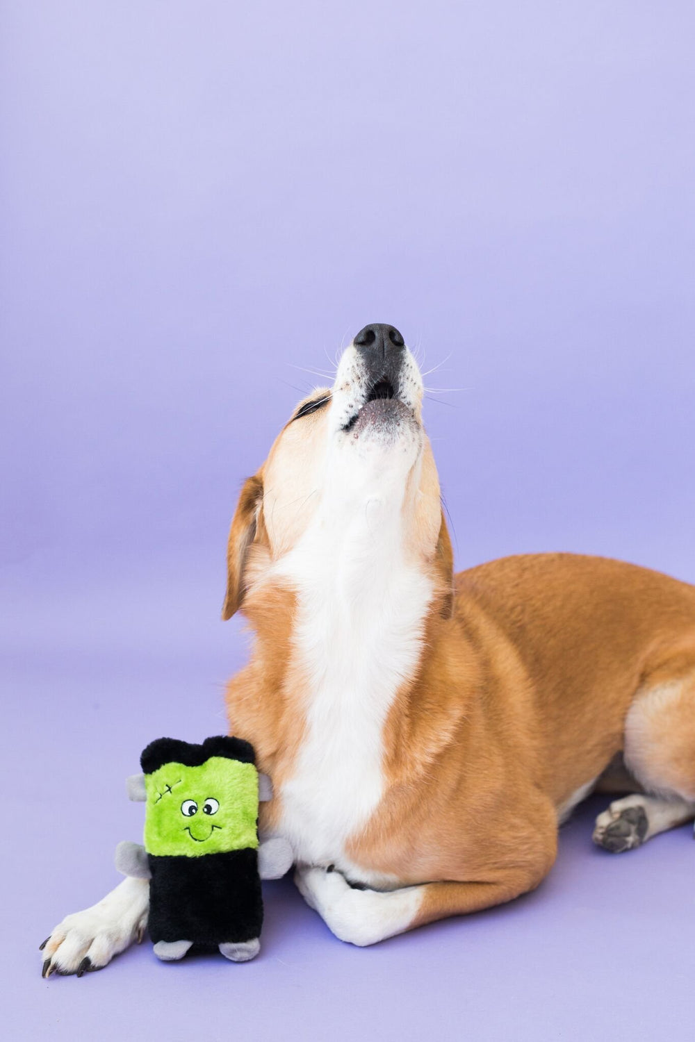 ZippyPaws Amigo Chirriante murcielago lateral: ideal para juegos de lanzamiento.