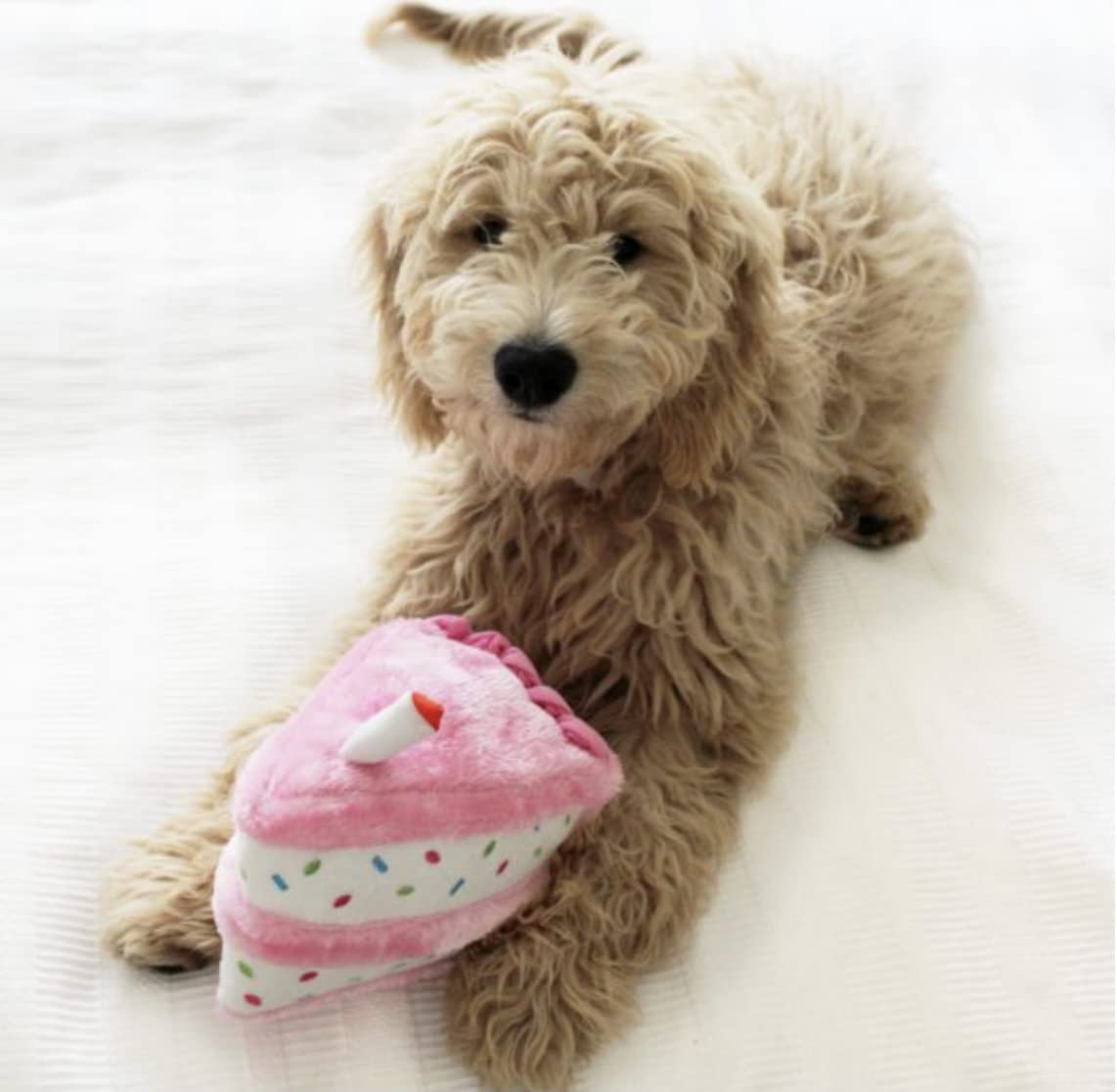 Juguete globo rosa de ZippyPaws ideal para fotos y juegos