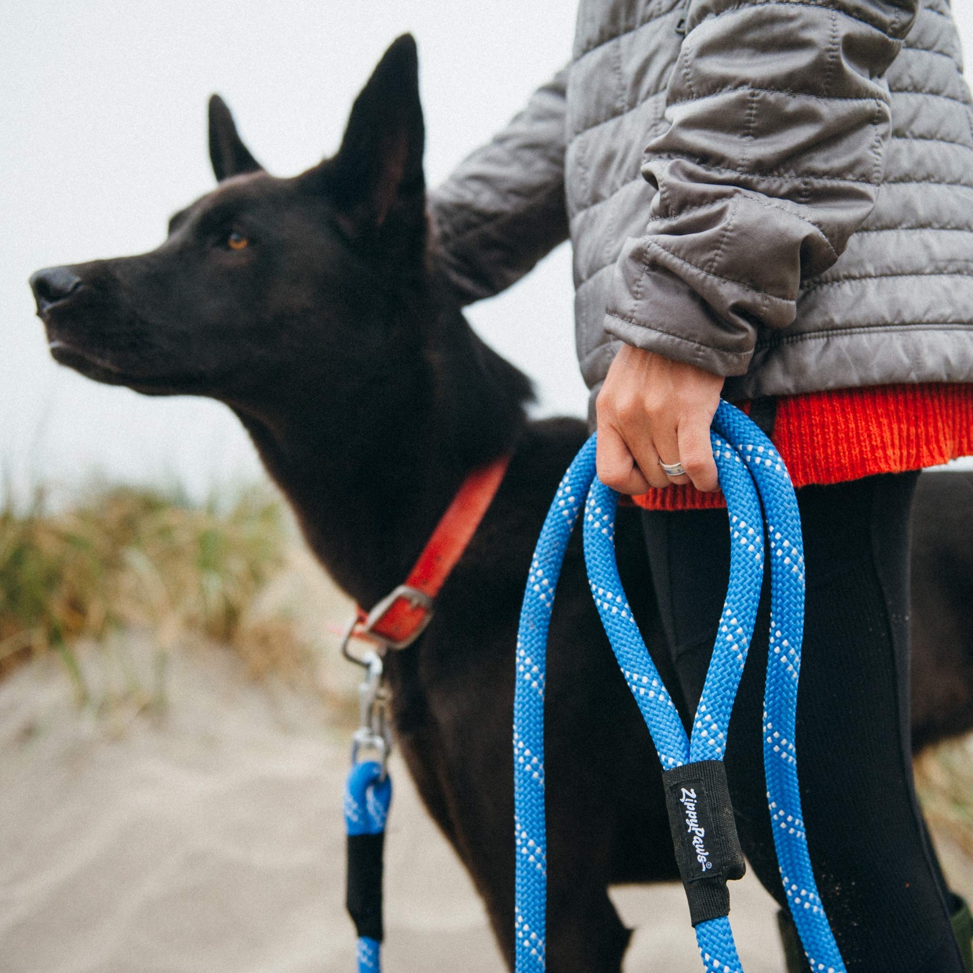 ZippyPaws Climbers: manejo cómodo que reduce la fatiga en caminatas.
