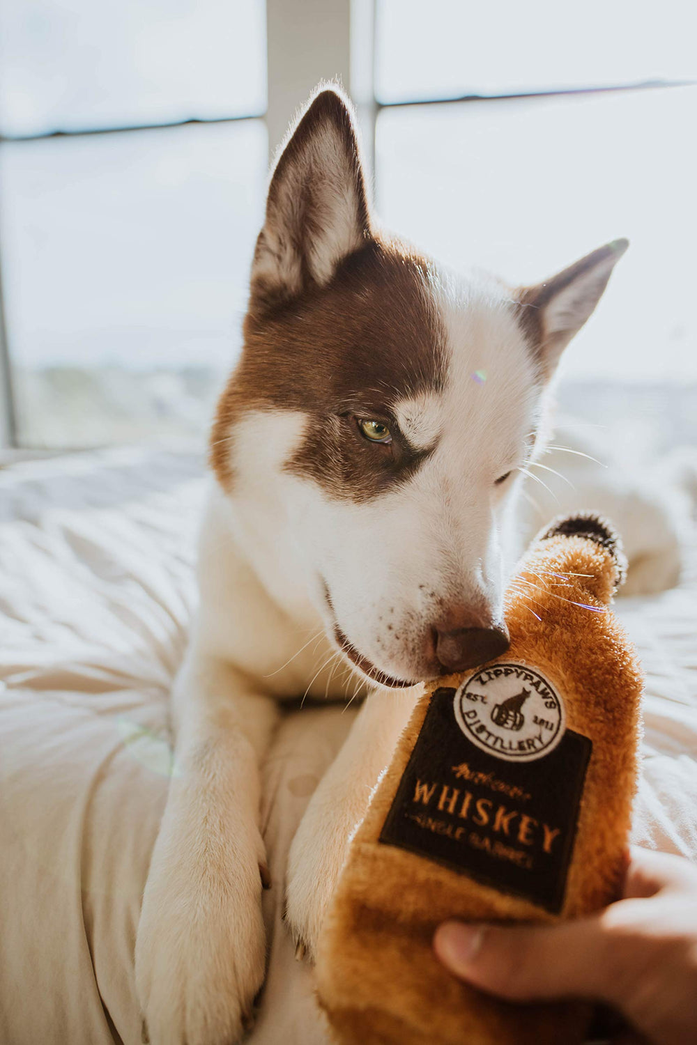 ZippyPaws Happy Hour Crusherz: juguete interactivo que estimula la mente.
