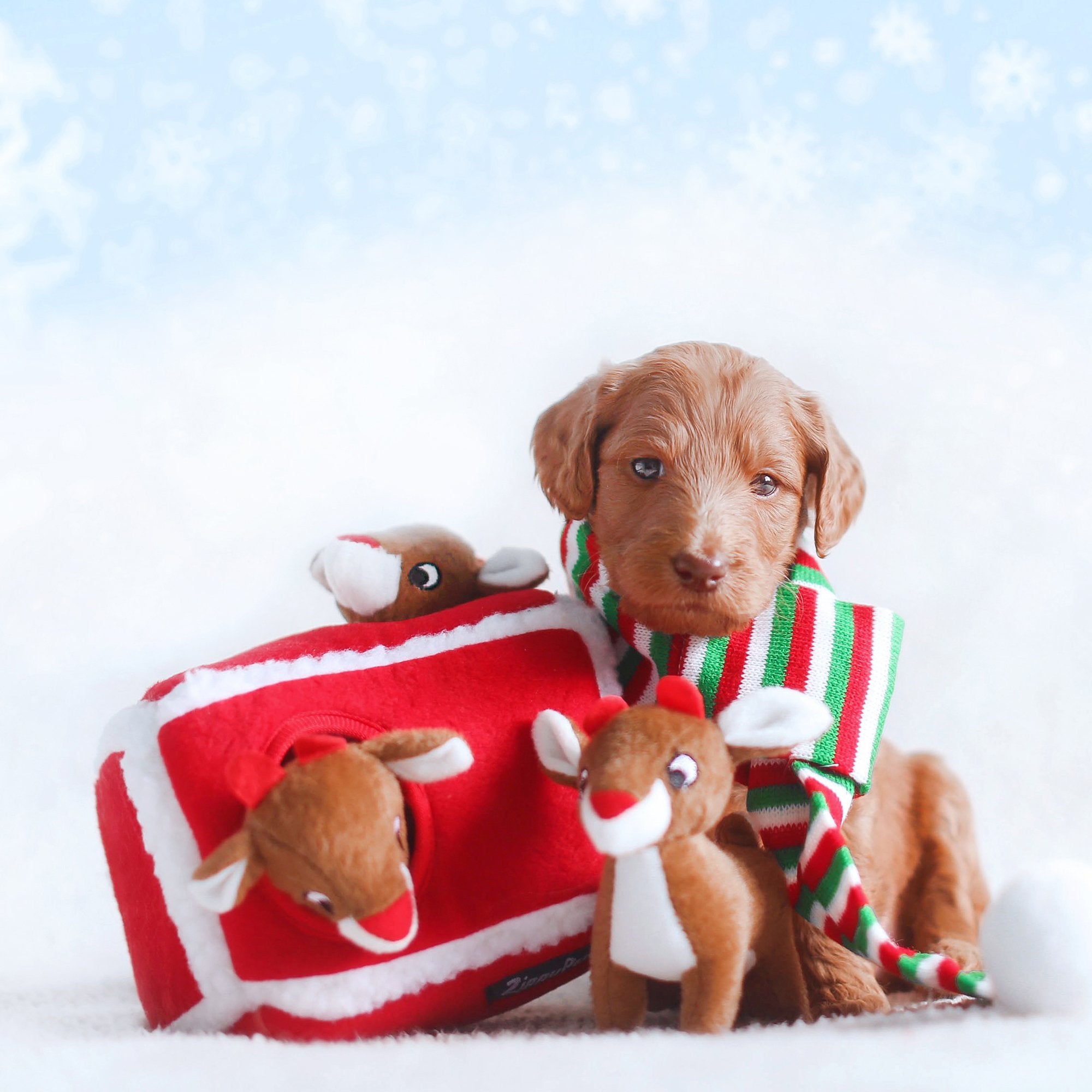 ZippyPaws Holiday Burrow para todas las razas, suave y seguro