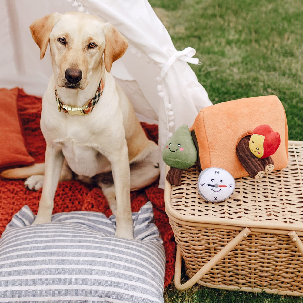 ZippyPaws juguete puzzle para perros, interactivo, anima el juego de esconder