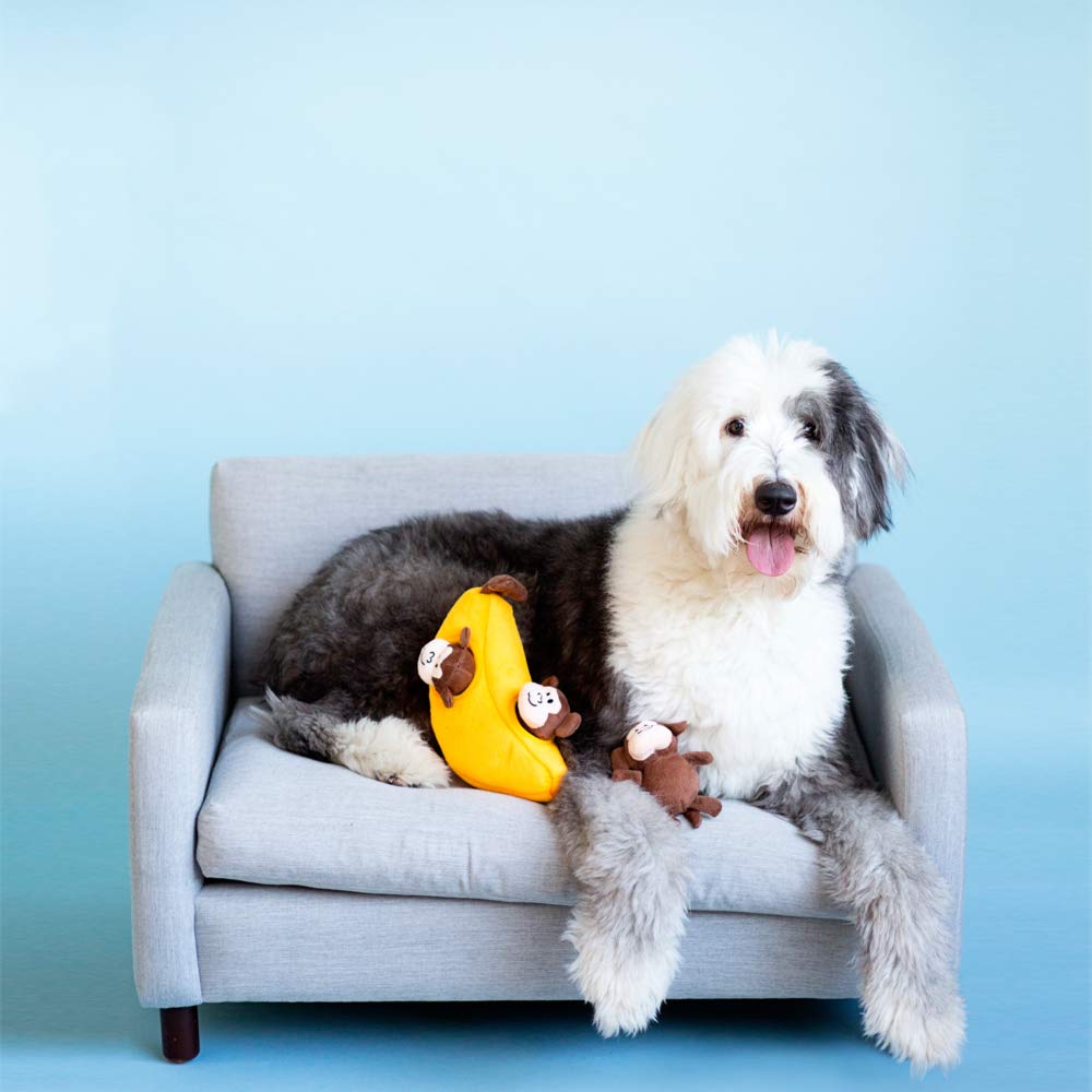 Miniz de ZippyPaws apta para juego diario de perros y cachorros.