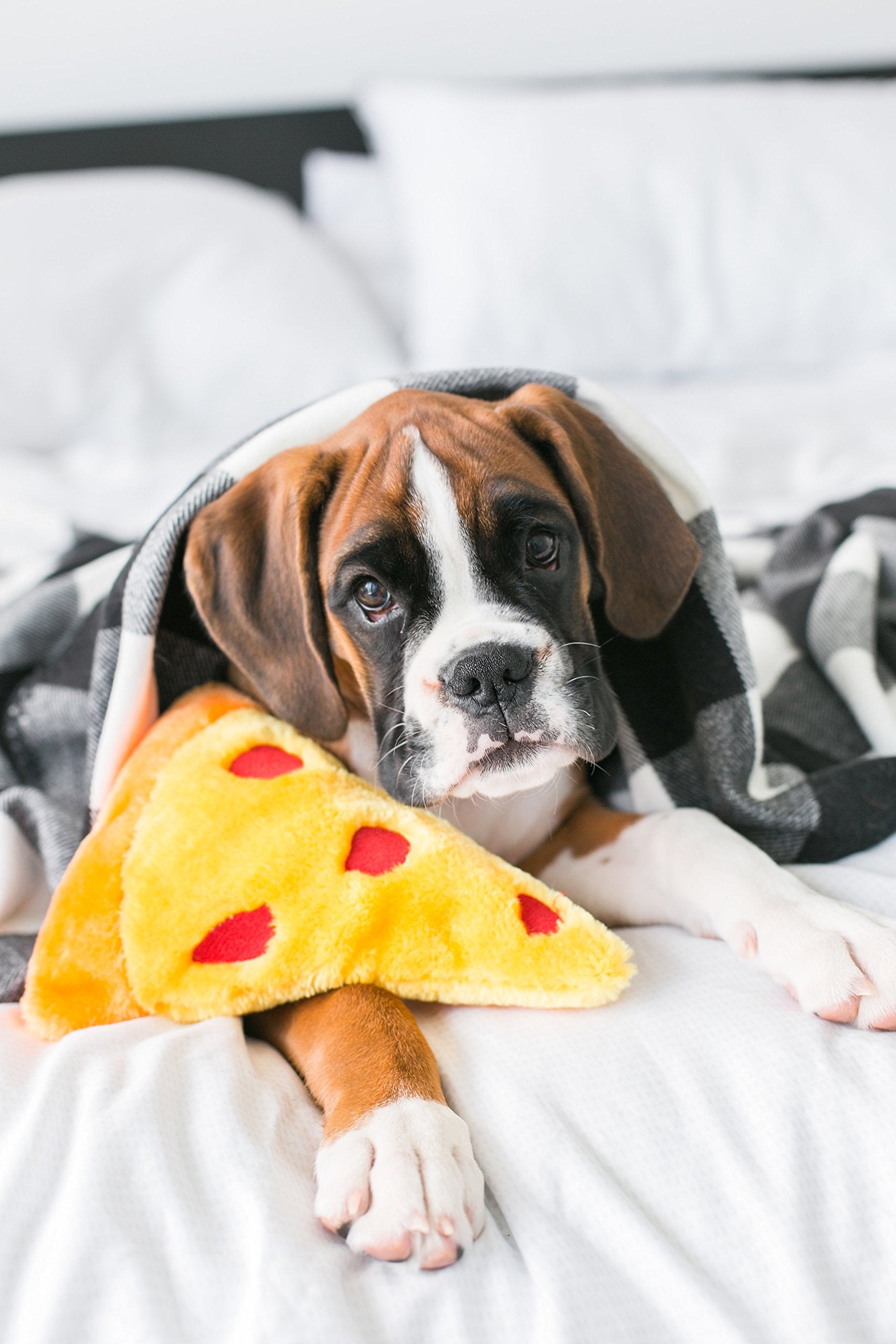 Juguete NomNomz Pizza para perros activos, favorece juego ligero y mordisqueo seguro.