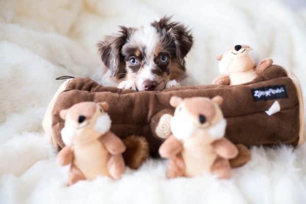 ZippyPaws Peluche suave para descanso y juego.
