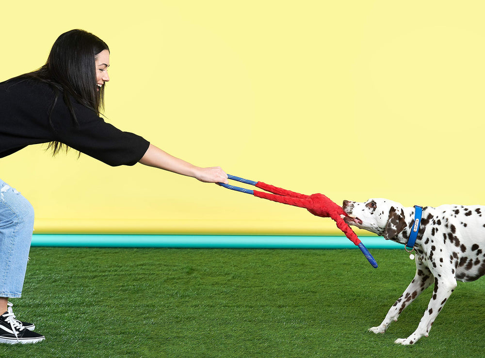 ZippyPaws RopeTugz juego-tira-perro: ideal para sesiones de tira y afloja