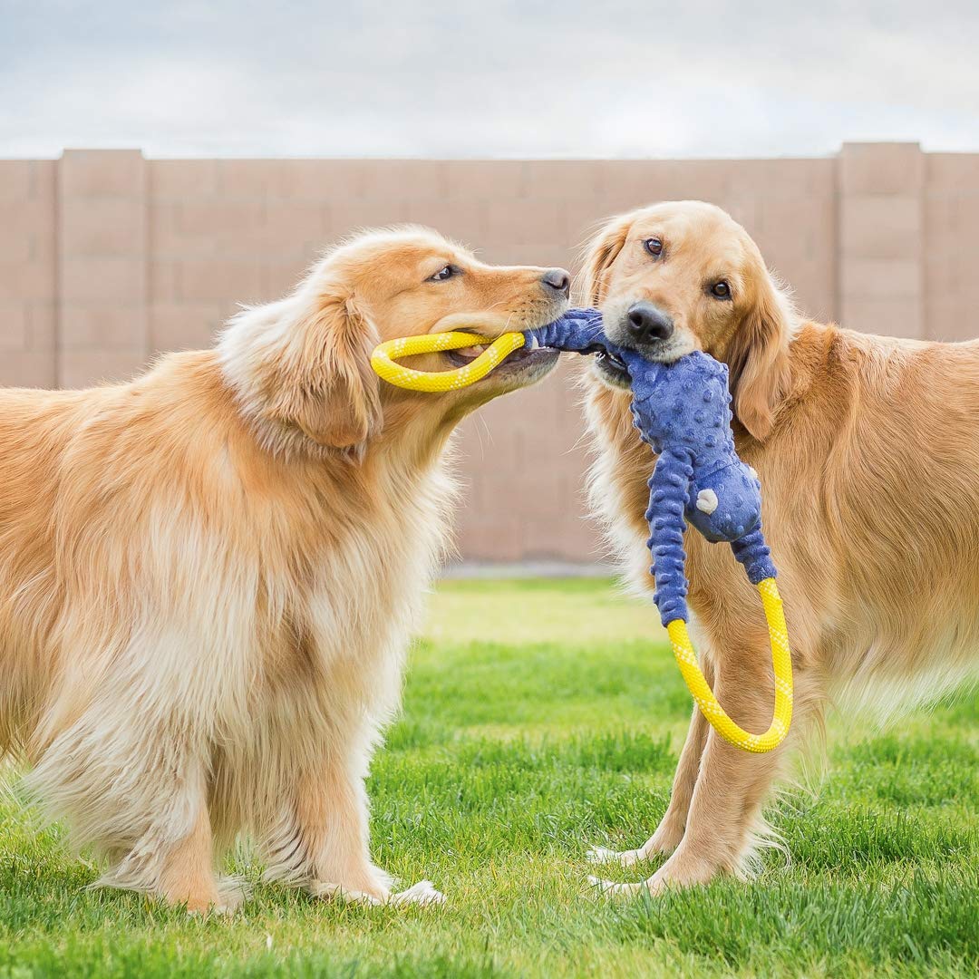 ZippyPaws RopeTugz mono suave: combinación peluche y cuerda para juegos duraderos