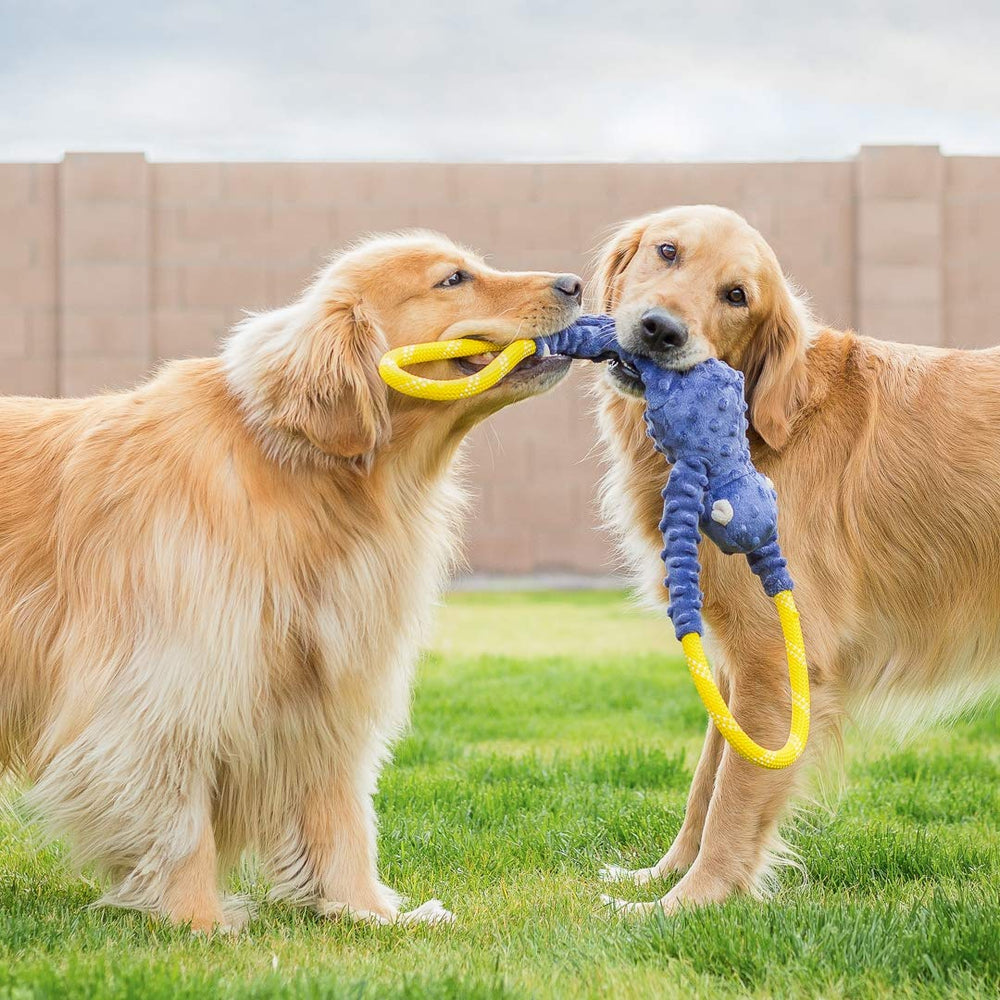 ZippyPaws RopeTugz mono suave: combinación peluche y cuerda para juegos duraderos