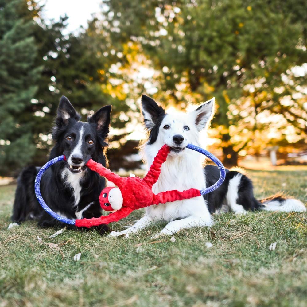 ZippyPaws RopeTugz con sonajero redondo, mantiene a tu perro entretenido