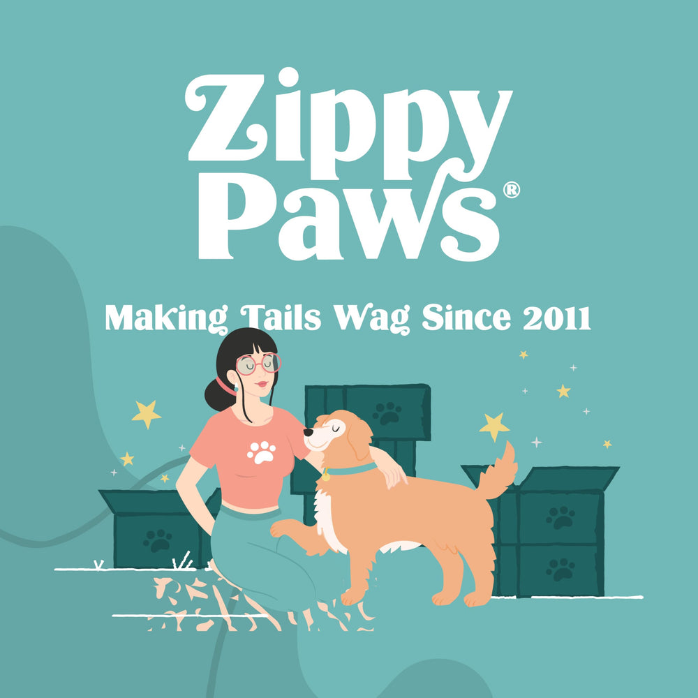 ZippyPaws Spencer mono arcoíris, colores brillantes que captan la atención.