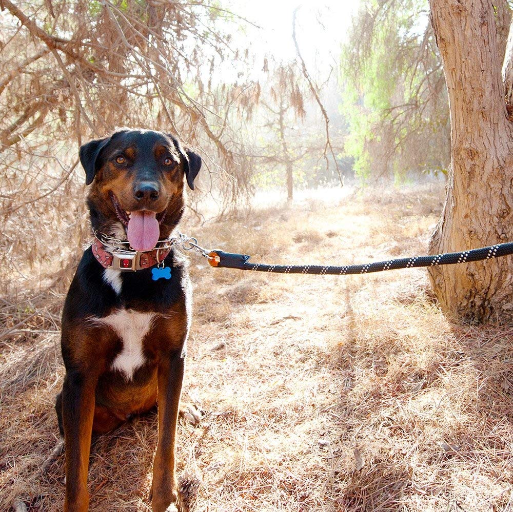 ZippyPaws uso diario y actividades exteriores, agarre estable.