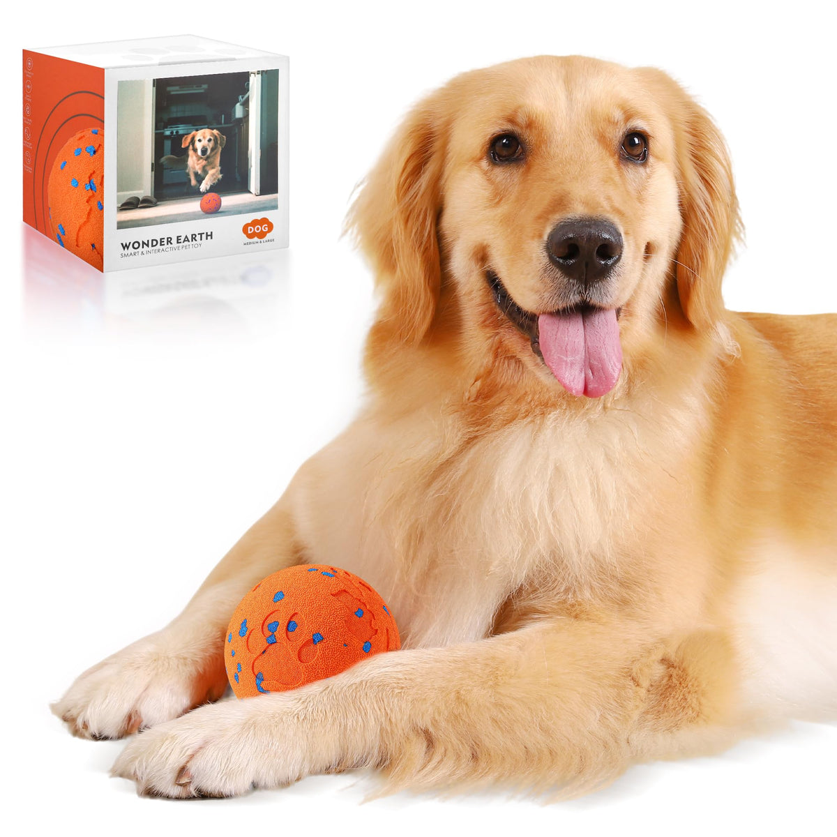 Zizimoko bola-perro-interactivo-vibrante: ideal para ejercitar y entretener al perro