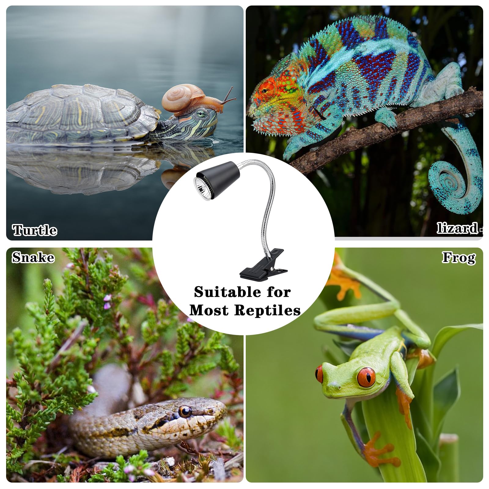 ZJNBMTFY terraario iluminación para tortugas y lagartos en terrario