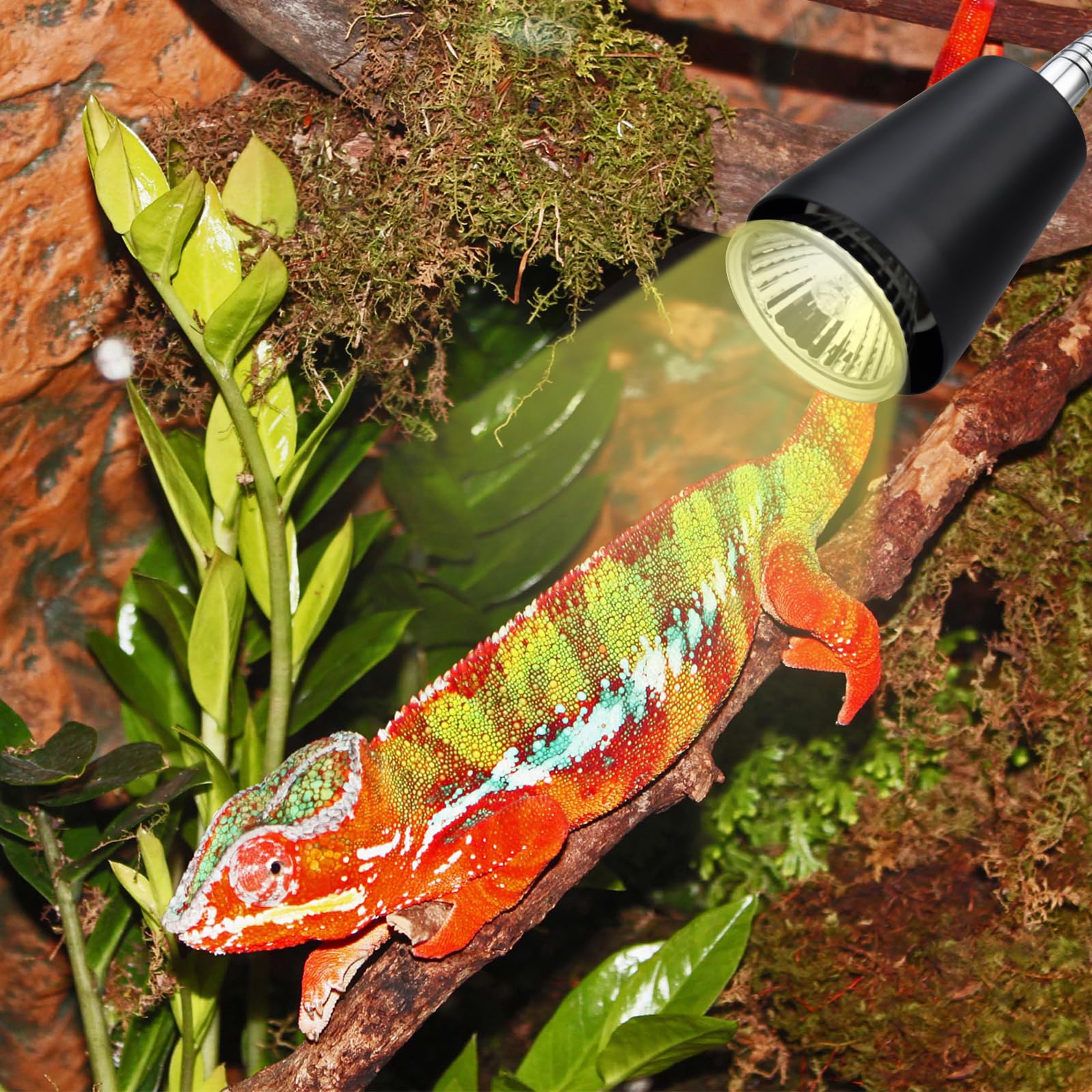 ZJNBMTFY uso diario reptil terrario con luz natural para bienestar