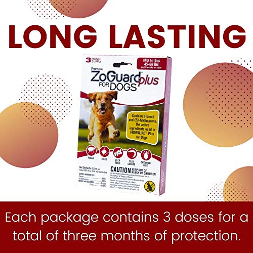 ZoGuard Plus, aplicación sencilla para perros grandes durante la rutina diaria