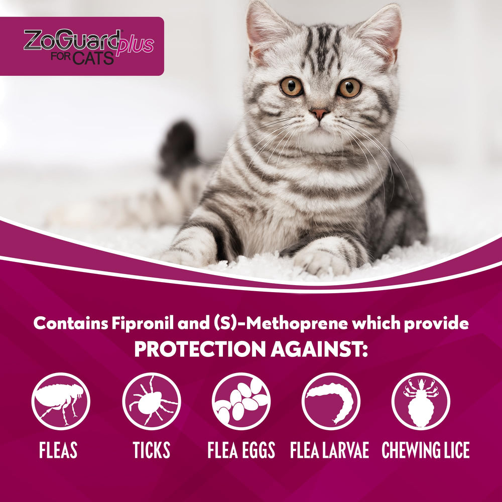 ZoGuard Plus combate garrapatas y piojos, para paseos seguros.