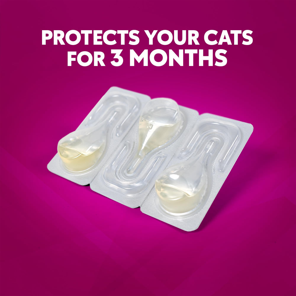 ZoGuard Plus, hecho en EE. UU. y registrado por la EPA para gatos.