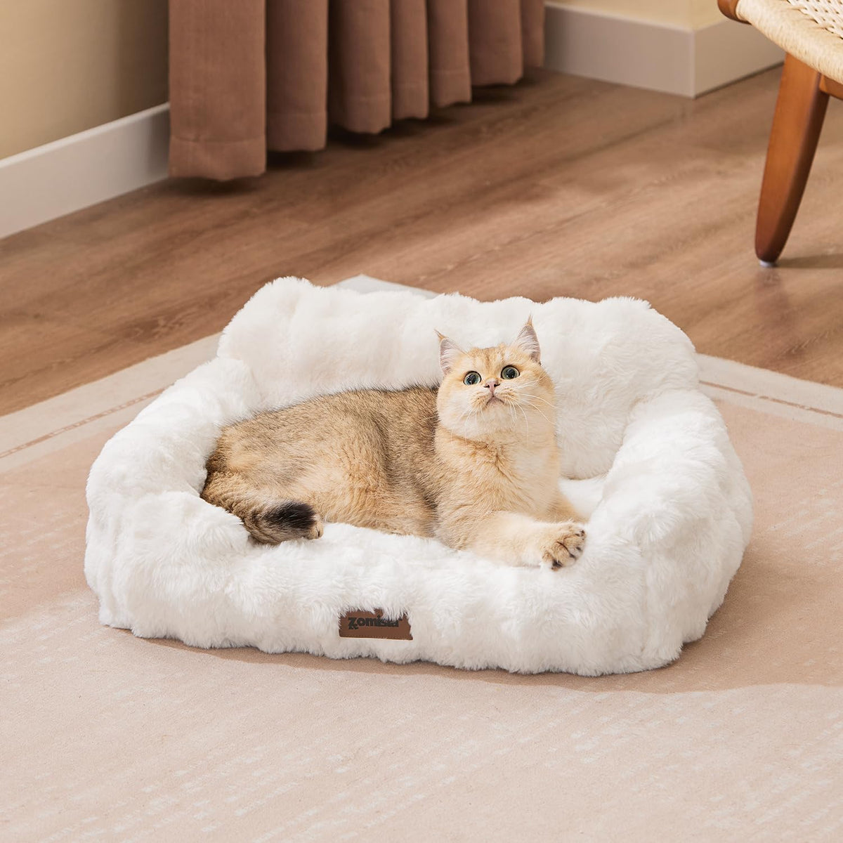 Sillón ortopédico ZOMISIA para gato con espuma tipo huevo y soporte.